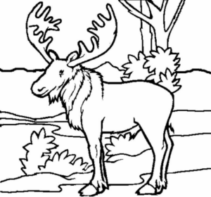Disegno di alce da stampare e colorare 17