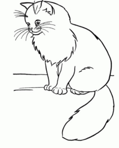 Disegno di gatto da stampare e colorare 101