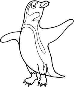 Disegno di pinguino da stampare e colorare 9