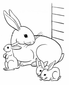 Disegno di coniglio da stampare e colorare 215