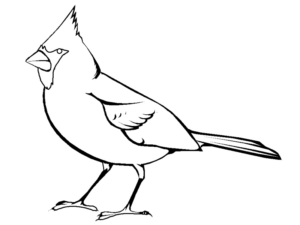 Disegno di uccello da stampare e colorare 96