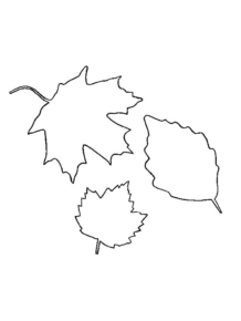 Disegno di foglia da stampare e colorare 135