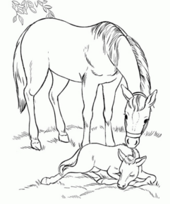 Disegno di cavallo da stampare e colorare 54