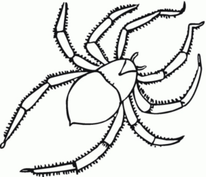 Disegno di ragno da stampare e colorare 55
