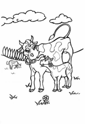 Disegno di mucca da stampare e colorare 24