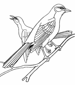 Disegno di uccello da stampare e colorare 80