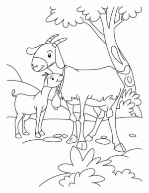 Disegno di capra da stampare e colorare 8