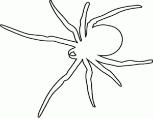 Disegno di ragno da stampare e colorare 30