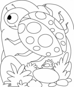 Disegno di coccinella da stampare e colorare 65