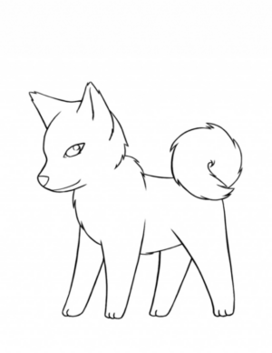 Disegno di volpe da stampare e colorare 11