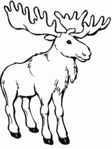 Disegno di alce da stampare e colorare 24