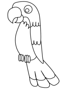 Disegno di pappagallo da stampare e colorare 8