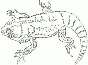 Disegno di lucertola da stampare e colorare 26