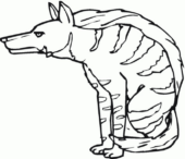 Disegni di Iene da colorare