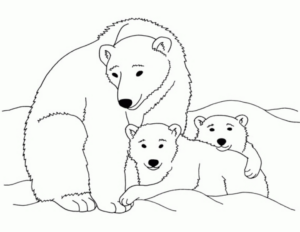 Disegno di orso polare da stampare e colorare 25