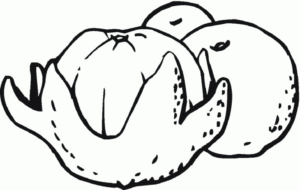 Disegno di mandarino da stampare e colorare 7