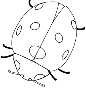 Disegno di coccinella da stampare e colorare 7