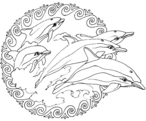 Disegno di delfino da stampare e colorare 11