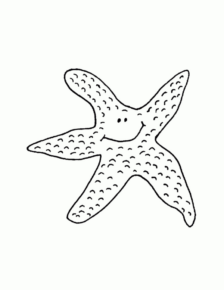 Disegno di stella marina da stampare e colorare 1