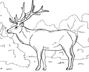 Disegno di renna di Natale da stampare e colorare 25