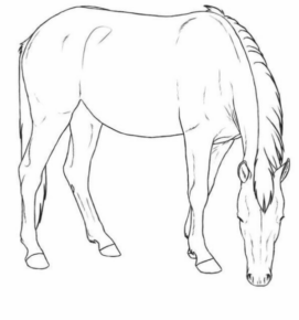 Disegno di cavallo da stampare e colorare 223