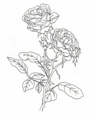 Disegno di fiore da stampare e colorare 142