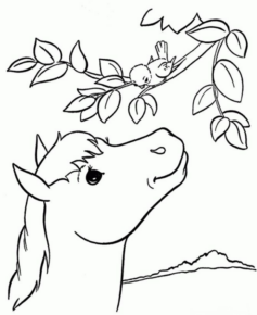Disegno di cavallo da stampare e colorare 187