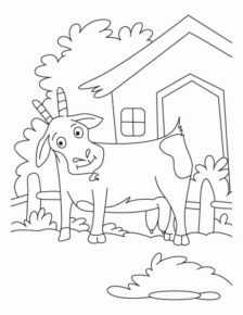 Disegno di capra da stampare e colorare 21