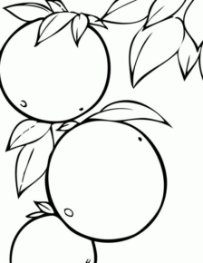 Disegno di arancia da stampare e colorare 17