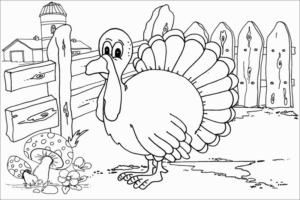 Disegno di tacchino da stampare e colorare 37