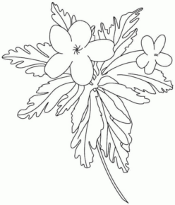 Disegno di fiore da stampare e colorare 153