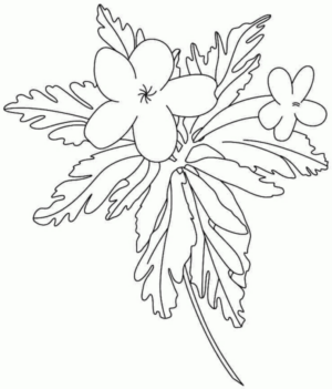 Disegno di fiore da stampare e colorare 153