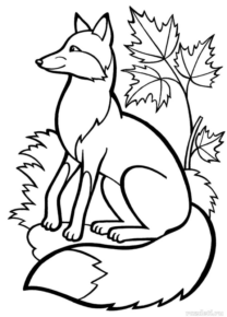 Disegno di volpe da stampare e colorare 64