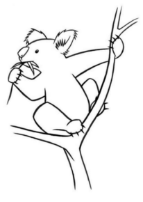 Disegno di koala da stampare e colorare 16
