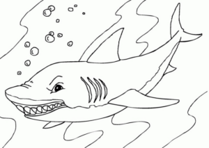 Disegno di squalo da stampare e colorare 53