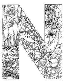 Disegno di lettera dell’alfabeto da stampare e colorare 13