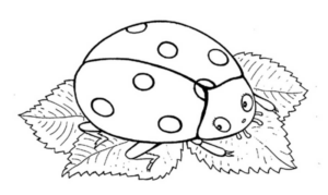 Disegno di coccinella da stampare e colorare 42