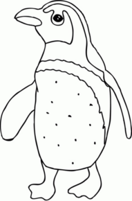 Disegno di pinguino da stampare e colorare 22