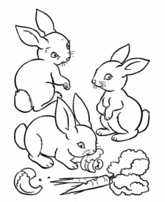 Disegno di coniglio da stampare e colorare 51