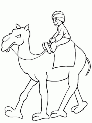 Disegno di dromedario da stampare e colorare 27