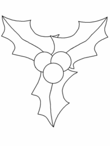 Disegno di pungitopo da stampare e colorare 28