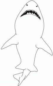 Disegno di squalo da stampare e colorare 44