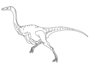 Disegno di Velociraptor da stampare e colorare