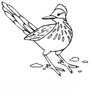 Disegno di uccello da stampare e colorare 29