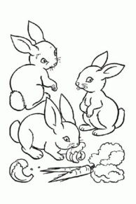 Disegno di coniglio da stampare e colorare 208