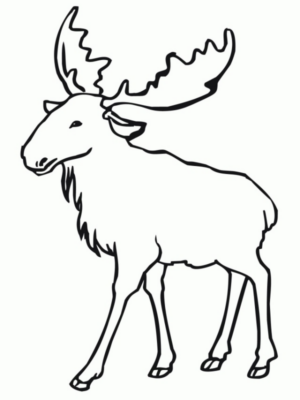 Disegno di alce da stampare e colorare 27