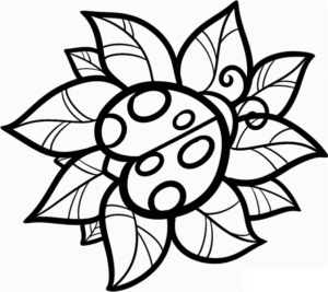 Disegno di coccinella da stampare e colorare 33