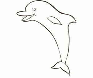 Disegno di delfino da stampare e colorare 75