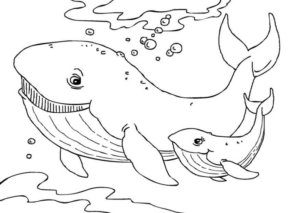 Disegno di balena da stampare e colorare 6