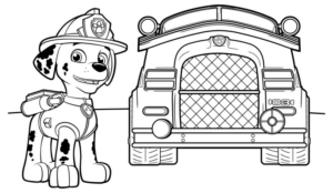 Disegno di Paw Patrol – Cane pompiere da stampare e colorare 26